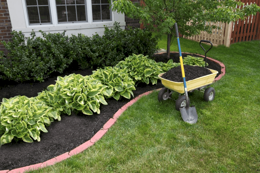 7 fun facts about mulch